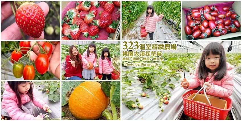 323溫室精緻農場